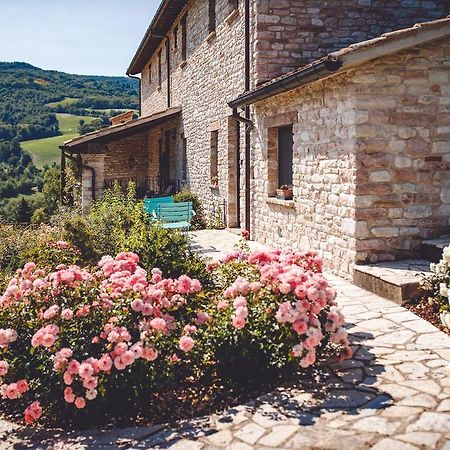 Agriturismo Casal San Sergio Fossombrone Εξωτερικό φωτογραφία