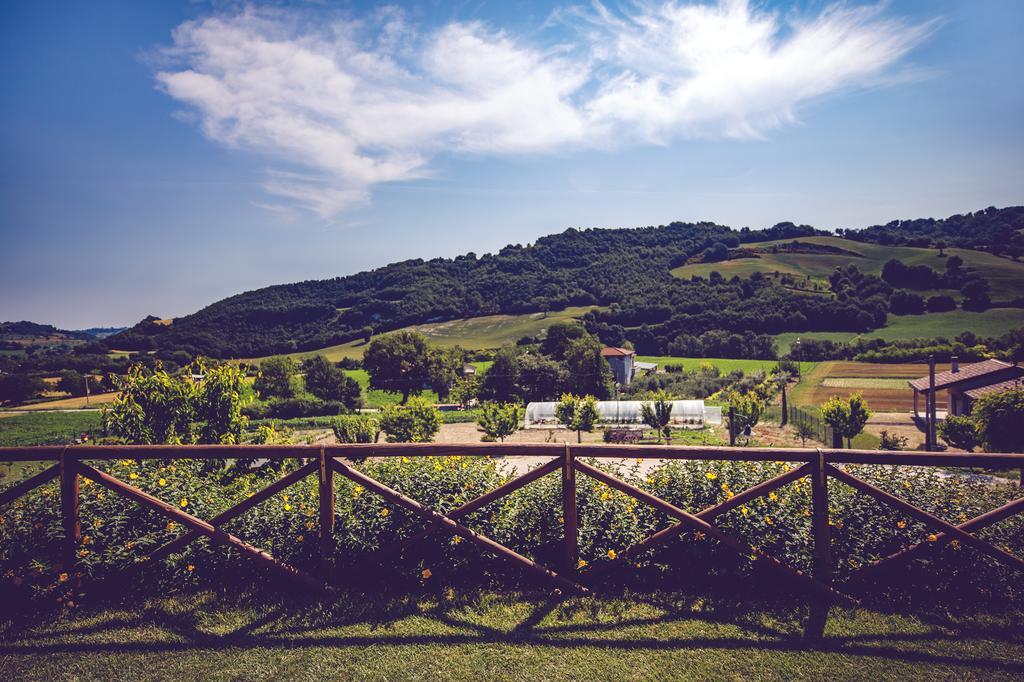 Agriturismo Casal San Sergio Fossombrone Εξωτερικό φωτογραφία