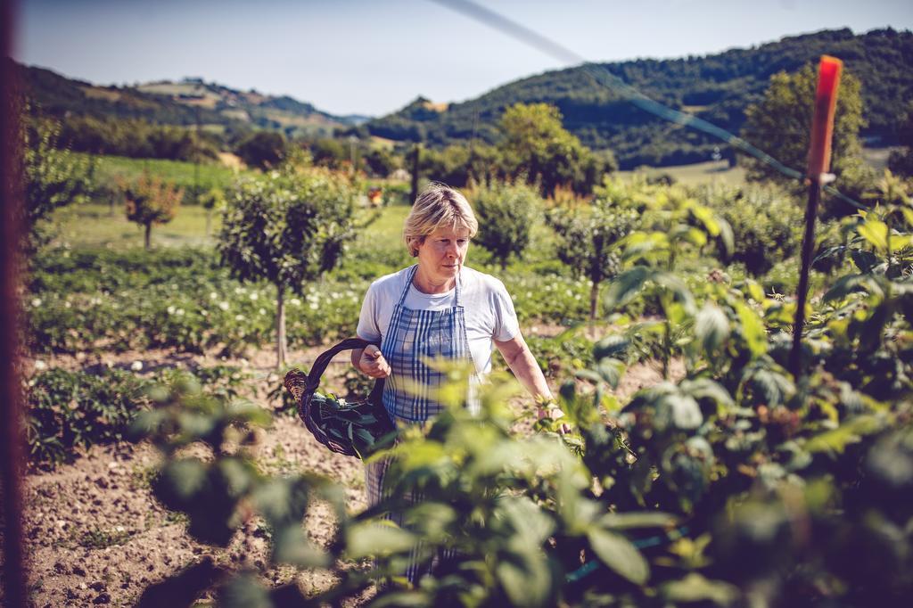 Agriturismo Casal San Sergio Fossombrone Εξωτερικό φωτογραφία