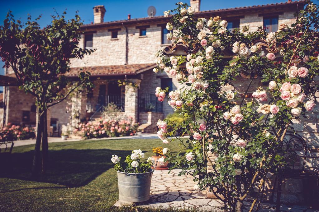 Agriturismo Casal San Sergio Fossombrone Εξωτερικό φωτογραφία