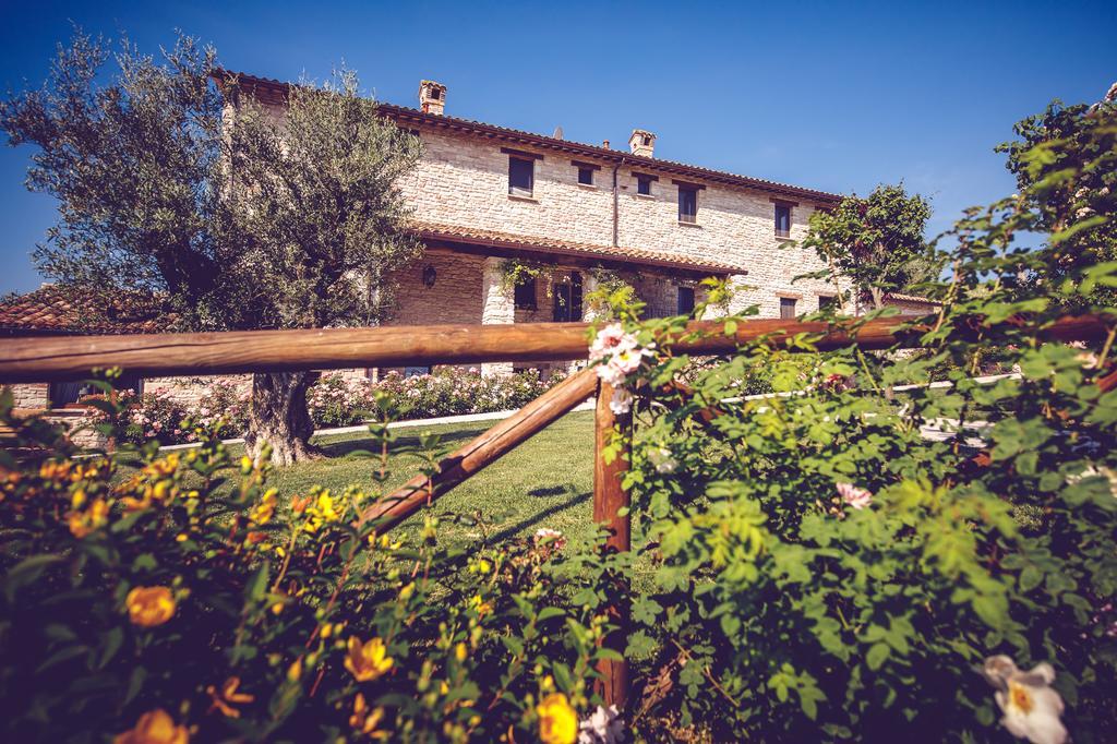 Agriturismo Casal San Sergio Fossombrone Εξωτερικό φωτογραφία