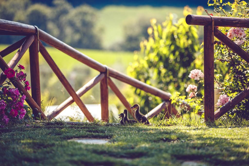 Agriturismo Casal San Sergio Fossombrone Εξωτερικό φωτογραφία